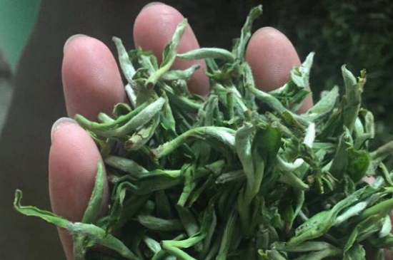 茉莉茶如何制作曬干，自制茉莉茶的做法