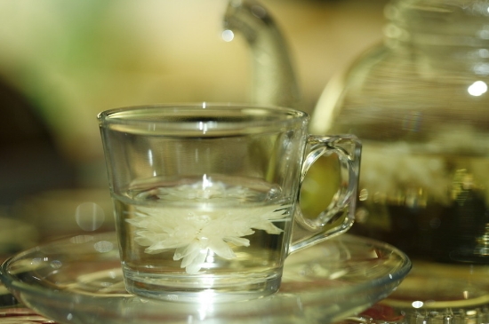 菊花茶天天喝行嗎，每天喝菊花泡茶喝好嗎？