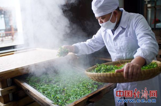 炒青綠茶與綠茶的區(qū)別，烘青和炒青哪個好喝？