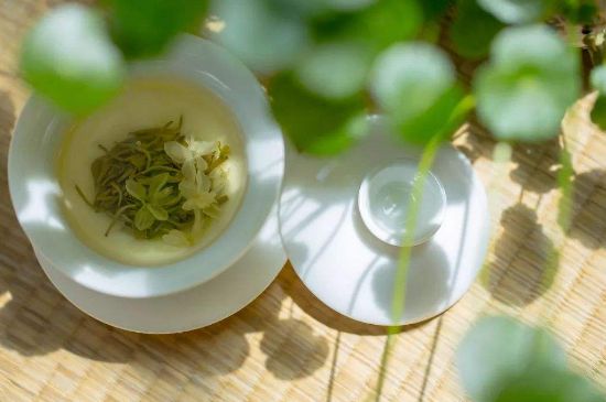 茉莉花茶6種人不要喝，什么體質(zhì)不適合喝茉莉花茶？