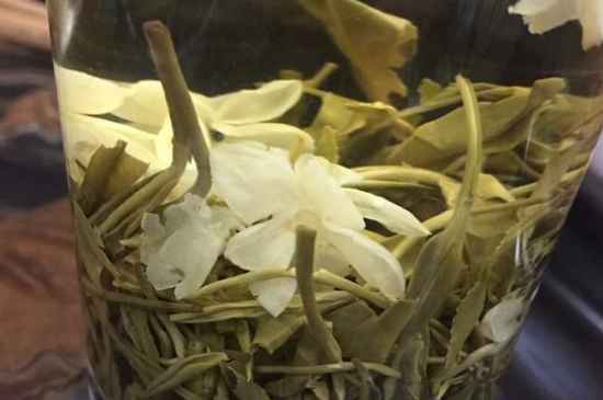 女孩喝茉莉茶的好處，茉莉茶葉的功效與禁忌