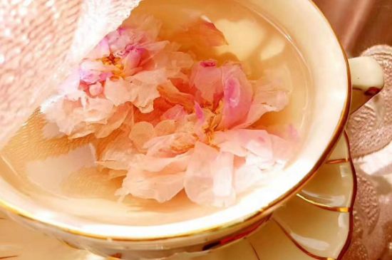 玫瑰花茶一周喝幾次，玫瑰花茶可以天天喝嗎？