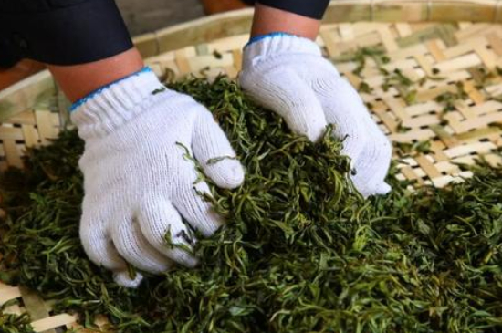 綠茶加工工藝流程圖，綠茶的加工制作包含哪幾個步驟？