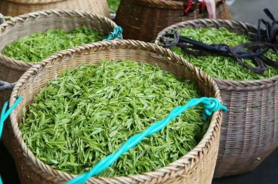 茶葉怎么炒制才香，怎樣炒茶葉更香？