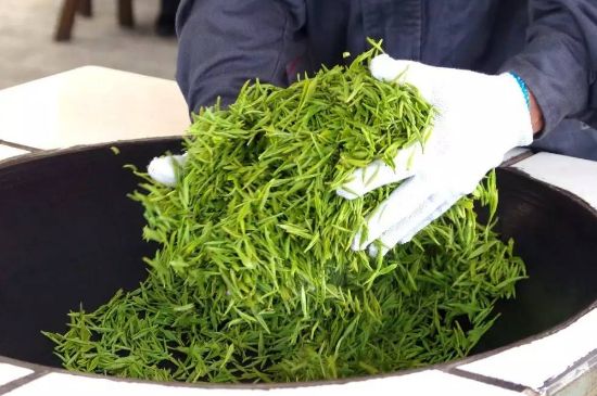 自家炒茶葉怎么炒，自己炒茶葉的步驟