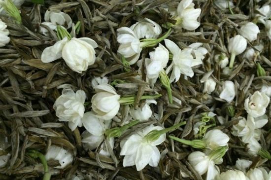 茉莉銀針口感，茉莉銀針是什么味道？