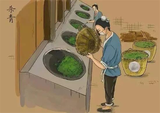 制茶八步驟，制茶工藝流程圖