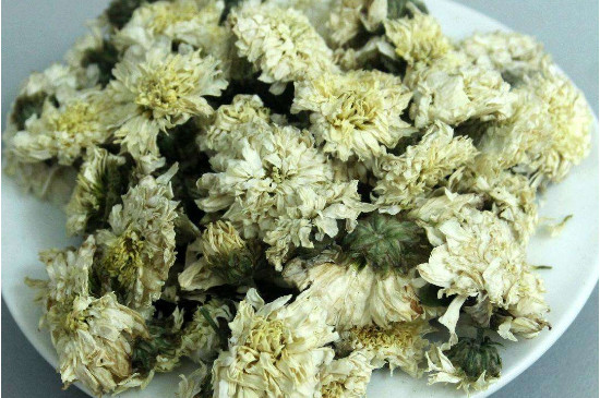 菊花茶買小朵還是大朵，泡茶用的小菊花和大菊花哪個好