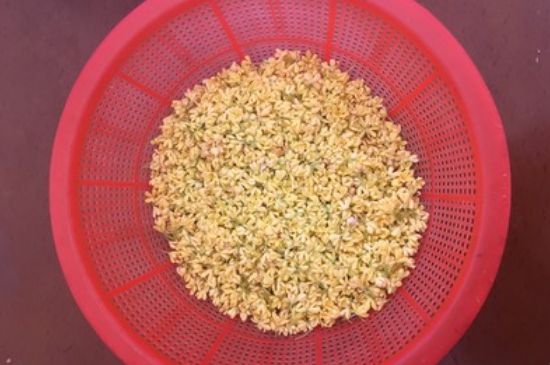 干桂花茶的制作方法，怎樣自制桂花茶？