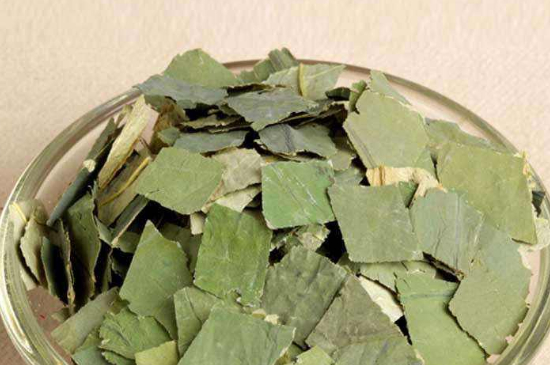 荷葉茶每天喝多少合適，什么時候喝最好？