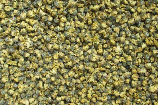 菊花茶大朵小朵有什么區(qū)別，菊花喝大朵還是小朵？