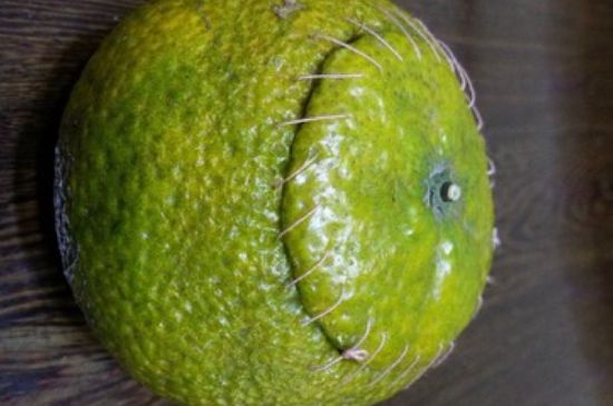 家庭自制柑普茶方法，小青柑制作9個(gè)步驟竅門(mén)（圖片）