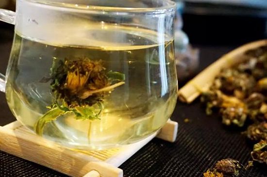 蒲公英最佳搭配，蒲公英茶和什么搭配泡水最佳