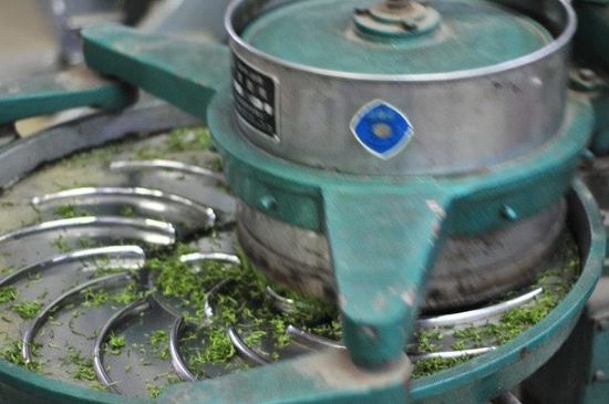 武夷巖茶的初制、精制加工工藝詳細(xì)講解
