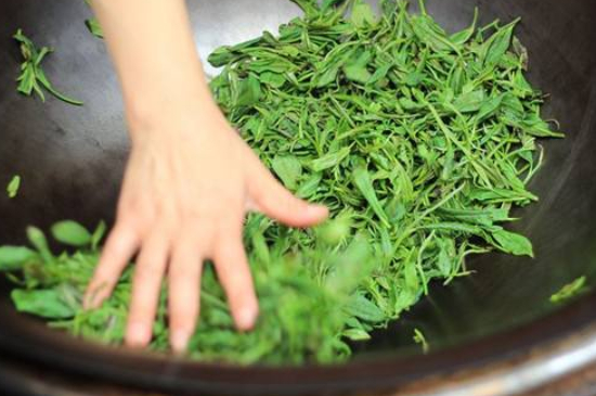 炒青綠茶與綠茶的區(qū)別，烘青和炒青哪個好喝？