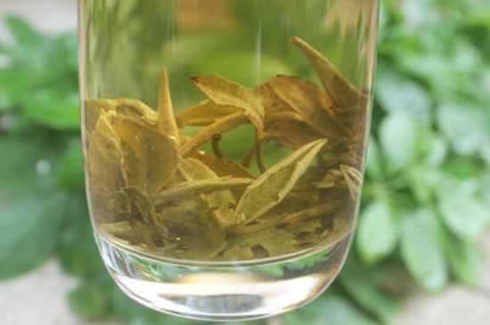 茉莉龍珠泡開(kāi)后為什么都是梗，茉莉龍珠泡開(kāi)后什么樣？