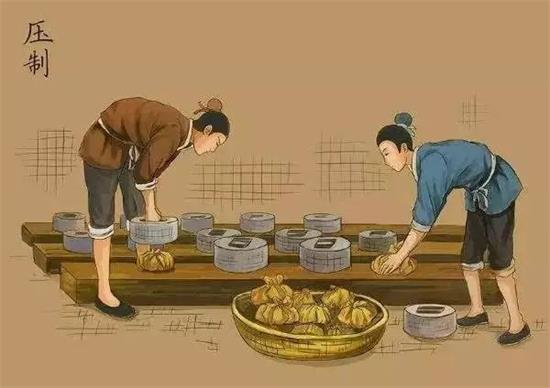 制茶八步驟，制茶工藝流程圖