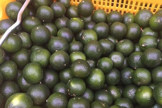 家庭自制柑普茶方法，小青柑制作9個(gè)步驟竅門(mén)（圖片）