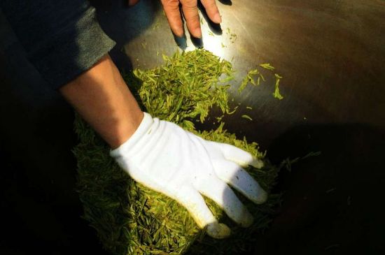 茶葉怎么炒制才香，怎樣炒茶葉更香？