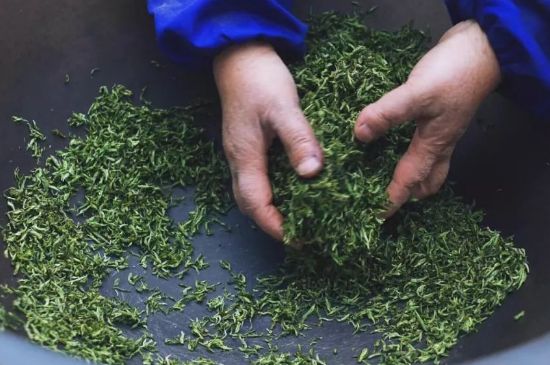 自家炒茶葉怎么炒，自己炒茶葉的步驟