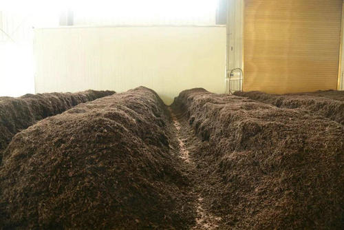 制茶八步驟，制茶工藝流程圖