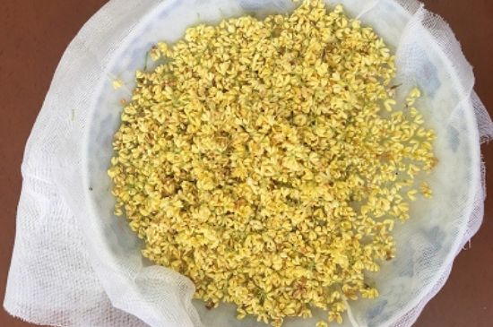 干桂花茶的制作方法，怎樣自制桂花茶？