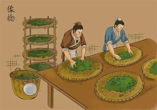 制茶八步驟，制茶工藝流程圖