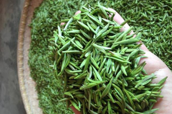 采茶的方法與步驟，如何正確采摘茶葉？