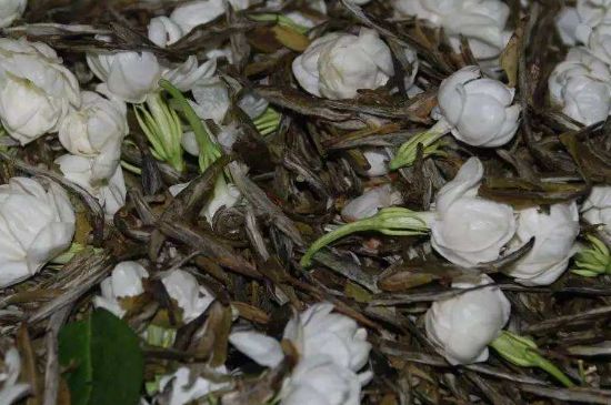 茉莉龍珠怎么做的，茉莉龍珠的制作工藝