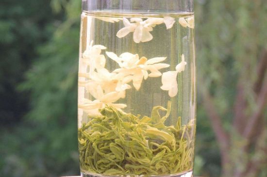 茉莉龍珠可以和什么一起泡茶，茉莉龍珠茶能加蜂蜜嗎？