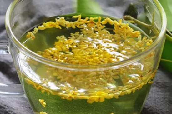 茉莉茶一次泡幾朵，茉莉茶放多少