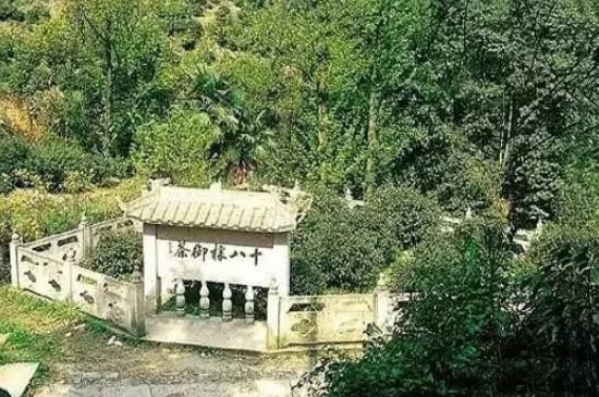 母樹大紅袍給誰(shuí)喝了，為什么母樹大紅袍叫三棵六株？