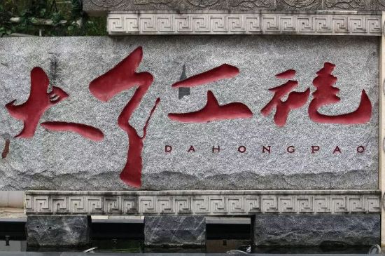 母樹大紅袍給誰(shuí)喝了，為什么母樹大紅袍叫三棵六株？