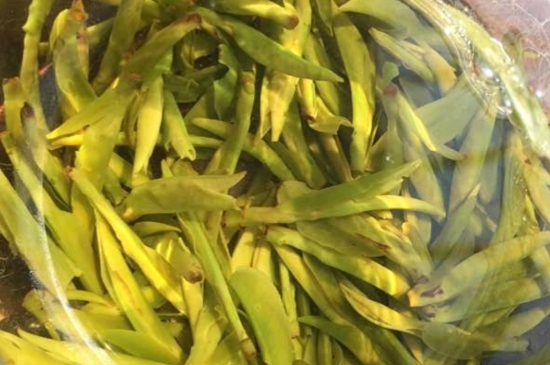 龍井是明前的好還是雨前的好，明前茶和雨前茶哪個好喝？