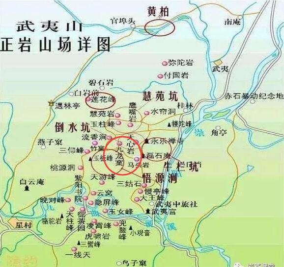 母樹大紅袍給誰(shuí)喝了，為什么母樹大紅袍叫三棵六株？