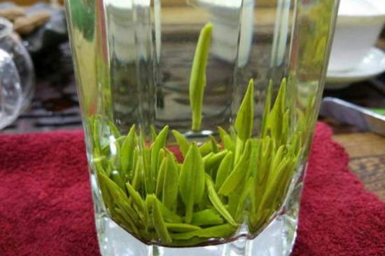 雀舌有一股青草味，雀舌為什么有青草味？