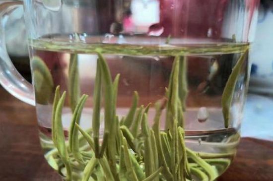 踏雪蘭妃是什么茶，踏雪蘭妃是哪里的茶葉?