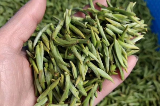 龍井茶好壞的鑒別圖片，如何區(qū)別龍井茶的好壞？