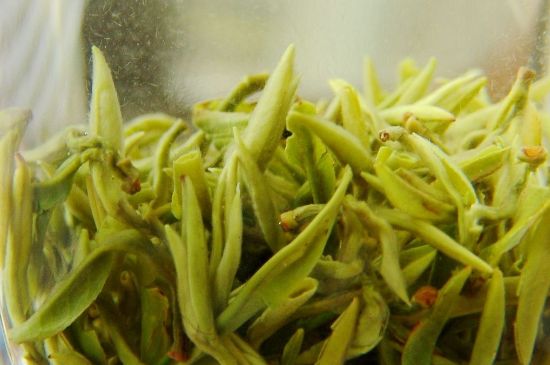 碧螺春為什么泡水渾濁，碧螺春茶葉泡水感覺很臟是混濁的