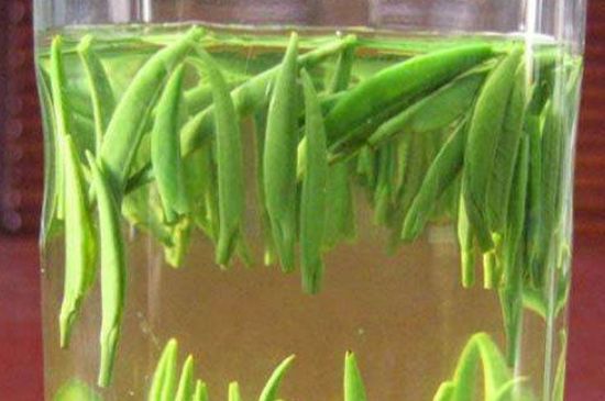 竹葉青和毛尖的區(qū)別，毛尖和竹葉青怎么分辨？