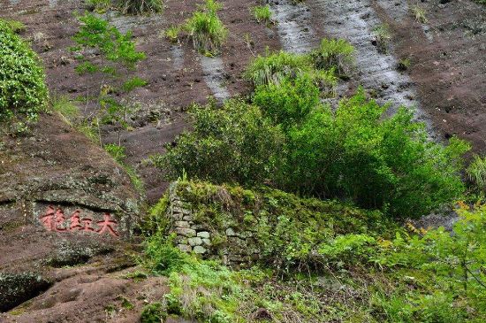武夷巖茶大紅袍，喝起來是什么味道？