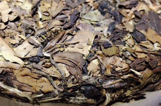 煮茶的步驟圖解，正確的煮白茶方法！