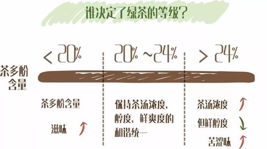 什么綠茶口味重口感濃郁，口味比較重的綠茶都有那些？