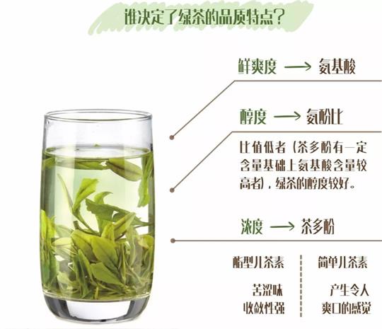 什么綠茶口味重口感濃郁，口味比較重的綠茶都有那些？