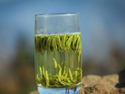 竹葉青茶怎么樣，檔次較高味道略苦價(jià)格比較貴