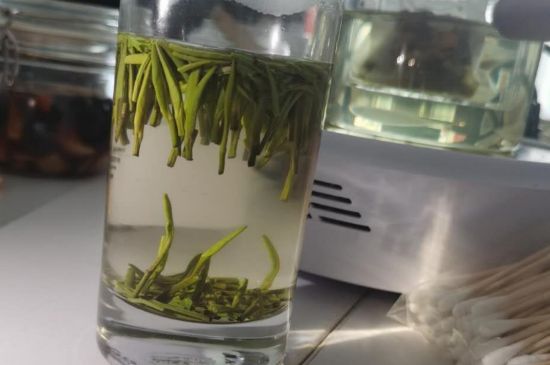 金壇雀舌算不算好茶，金壇雀舌屬于什么檔次茶葉？