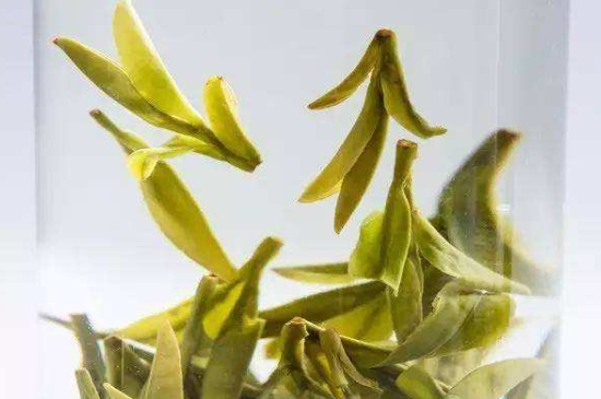 烏牛早和龍井的區(qū)別圖片，龍井43號和烏牛早茶的對比