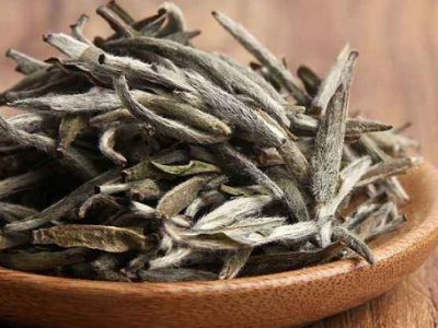 白茶有哪些品種排名，<a href=http://m.cikucha.com/fenlei/baicha/ target=_blank class=infotextkey>白茶的種類</a>大全