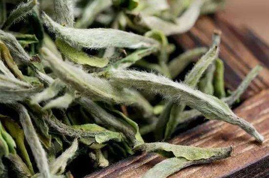 荒野銀針有什么特點，荒野銀針的味道口感咋樣？