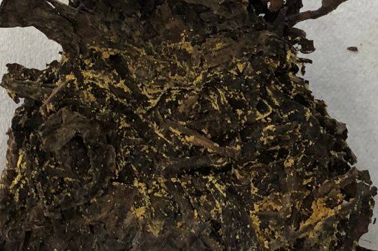 怎么知道涇渭茯茶是否變質，茯磚茶金花和發(fā)霉的區(qū)別